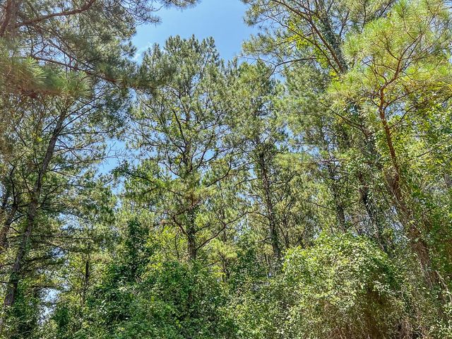 04 Cr 364e, Zavalla, TX 75980