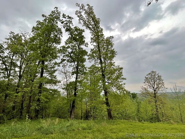 1229 Pheasant Run Road, Kansas, OK 74347