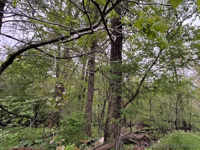 1229 Pheasant Run Road, Kansas, OK 74347