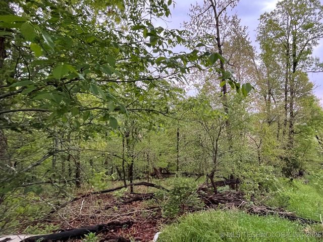 1229 Pheasant Run Road, Kansas, OK 74347