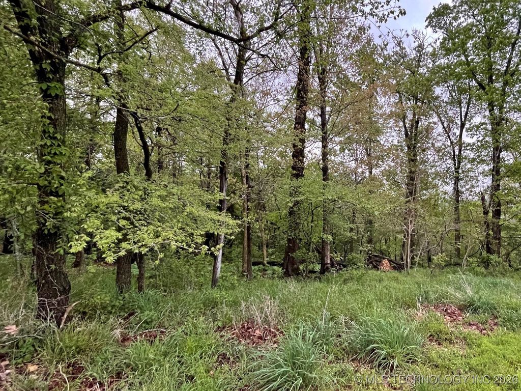 1229 Pheasant Run Road, Kansas, OK 74347