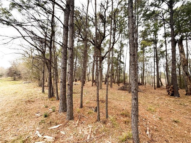 00 Eunice Pvt, Alvin, TX 77511