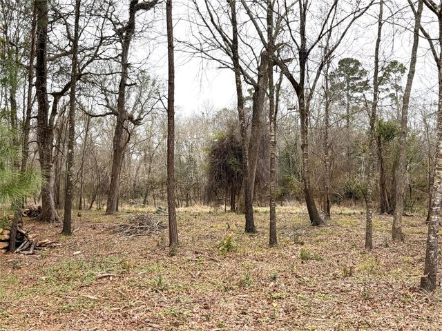 00 Eunice Pvt, Alvin, TX 77511
