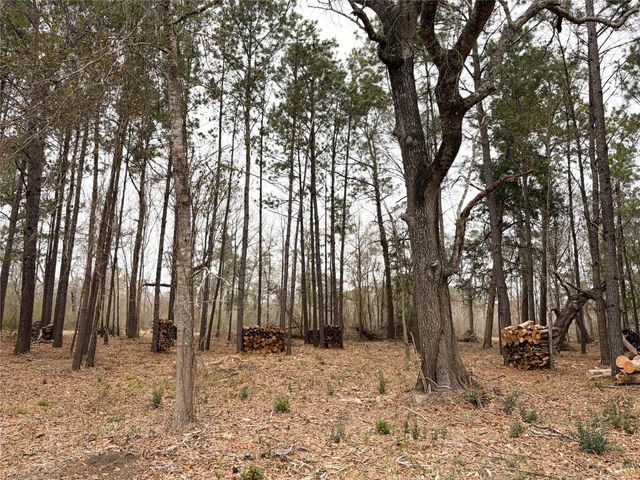 00 Eunice Pvt, Alvin, TX 77511