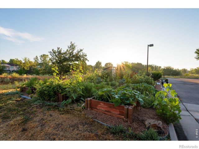 5620 Fossil Creek Parkway 7103, Fort Collins, CO 80525