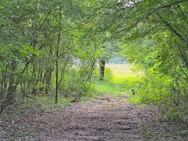 10347 Cr 408, Normangee, TX 77871