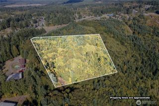 0 Lot 4 Spirit Lake Parcel WK3516014 Highway, Castle Rock, WA 98611