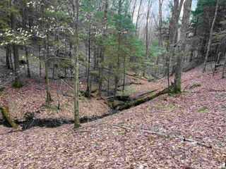 Lot 4 Haley Drive, Hyde Park, VT 05655