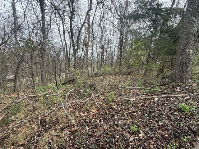 1915 Appomattox Dr, Lebanon, TN 37087