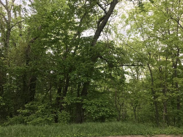 1915 Appomattox Dr, Lebanon, TN 37087