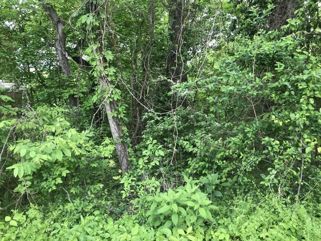 1915 Appomattox Dr, Lebanon, TN 37087