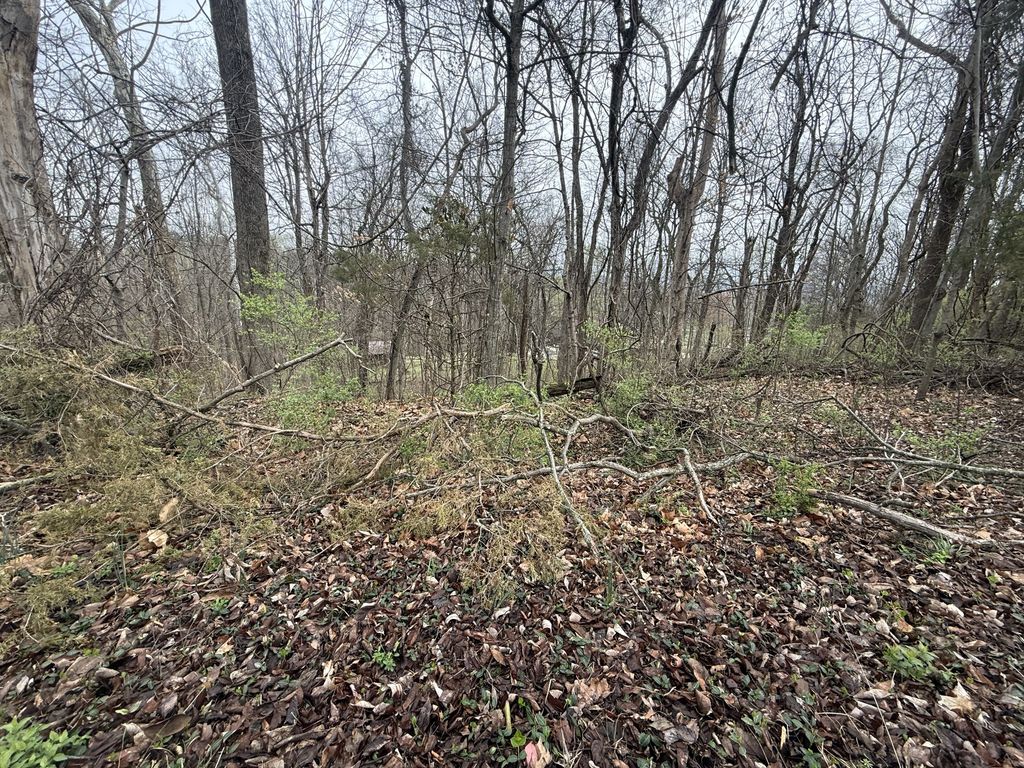 1915 Appomattox Dr, Lebanon, TN 37087