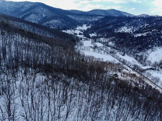 TBD CUBBAGE HOLLOW RD, Stanley, VA 22851