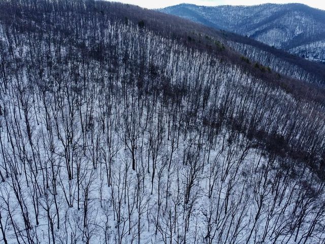 TBD CUBBAGE HOLLOW RD, Stanley, VA 22851