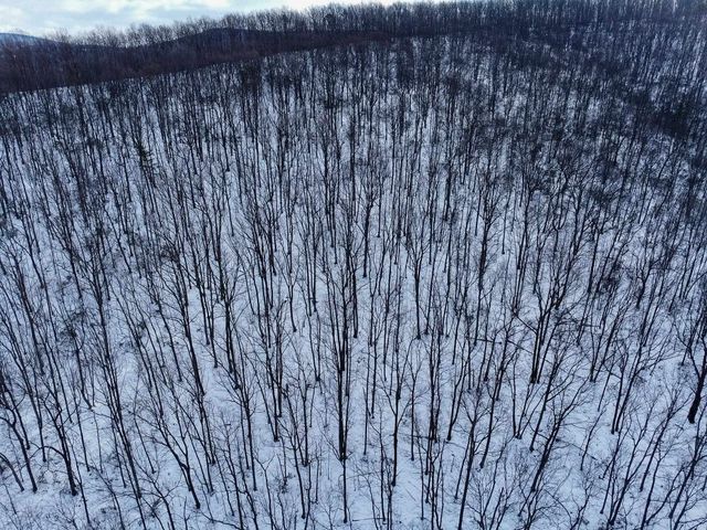 TBD CUBBAGE HOLLOW RD, Stanley, VA 22851