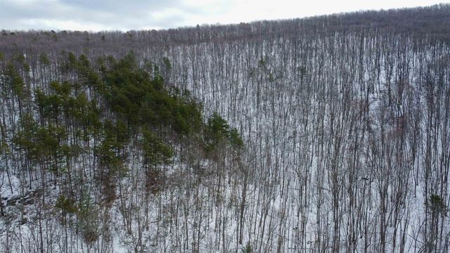 TBD CUBBAGE HOLLOW RD, Stanley, VA 22851