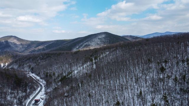 TBD CUBBAGE HOLLOW RD, Stanley, VA 22851