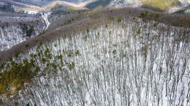 TBD CUBBAGE HOLLOW RD, Stanley, VA 22851