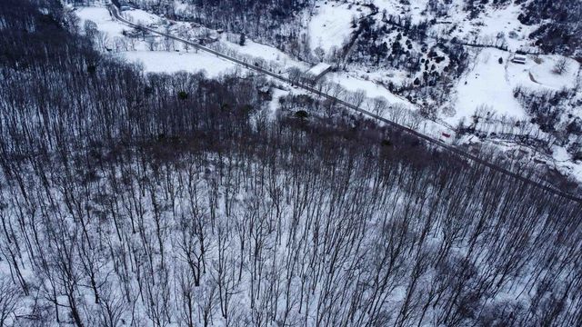 TBD CUBBAGE HOLLOW RD, Stanley, VA 22851