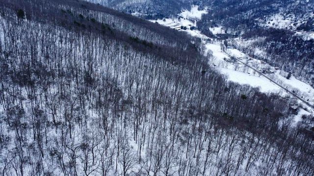 TBD CUBBAGE HOLLOW RD, Stanley, VA 22851