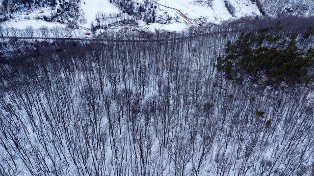 TBD CUBBAGE HOLLOW RD, Stanley, VA 22851