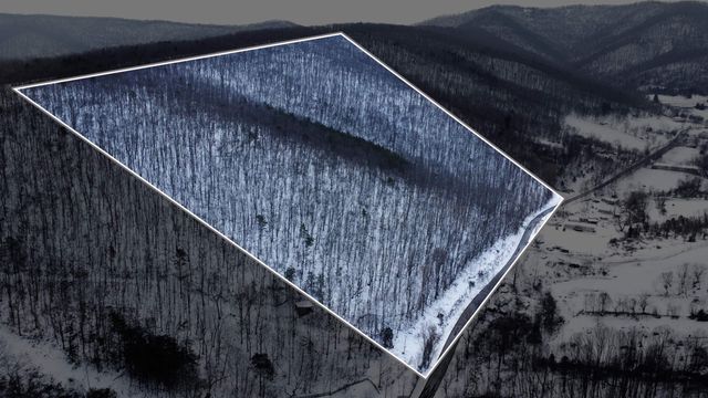 TBD CUBBAGE HOLLOW RD, Stanley, VA 22851