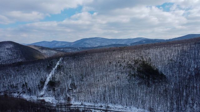 TBD CUBBAGE HOLLOW RD, Stanley, VA 22851