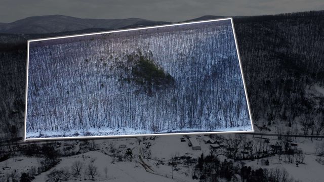 TBD CUBBAGE HOLLOW RD, Stanley, VA 22851