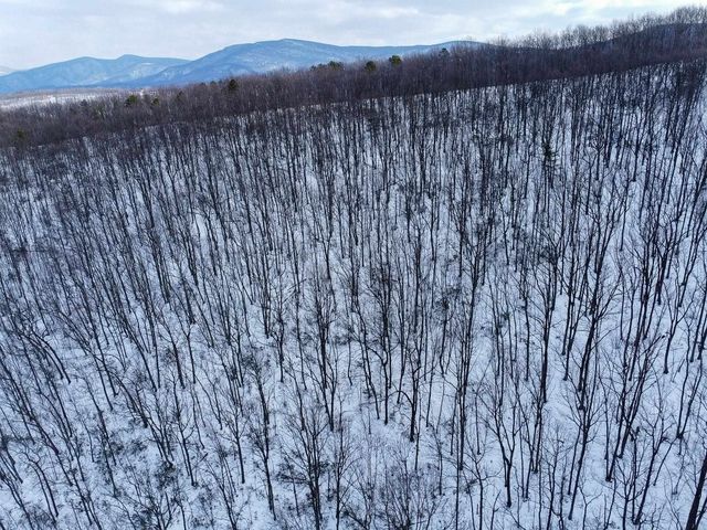 TBD CUBBAGE HOLLOW RD, Stanley, VA 22851