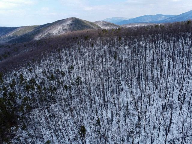 TBD CUBBAGE HOLLOW RD, Stanley, VA 22851