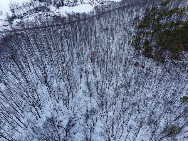 TBD CUBBAGE HOLLOW RD, Stanley, VA 22851