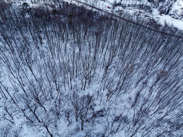 TBD CUBBAGE HOLLOW RD, Stanley, VA 22851