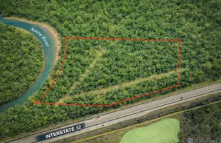 32.94 Acres La Hwy 1032, Denham Springs, LA 70726