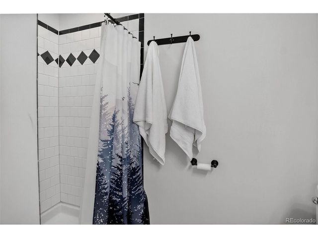 417 W Columbine Ave, Woodland Park, CO 80863