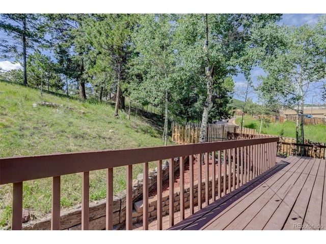 417 W Columbine Ave, Woodland Park, CO 80863