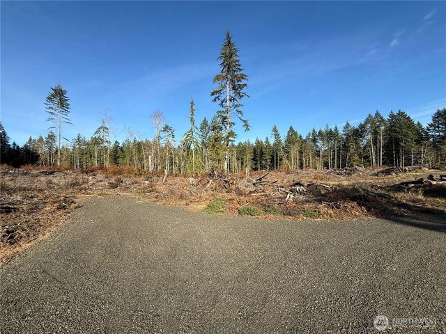 260 E Solbakk Veien Road, Shelton, WA 98584