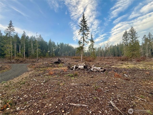 260 E Solbakk Veien Road, Shelton, WA 98584