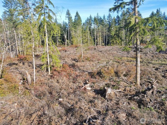 260 E Solbakk Veien Road, Shelton, WA 98584