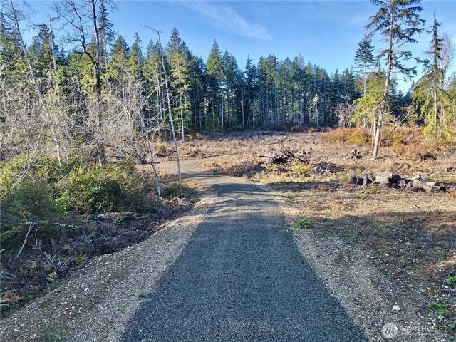 260 E Solbakk Veien Road, Shelton, WA 98584