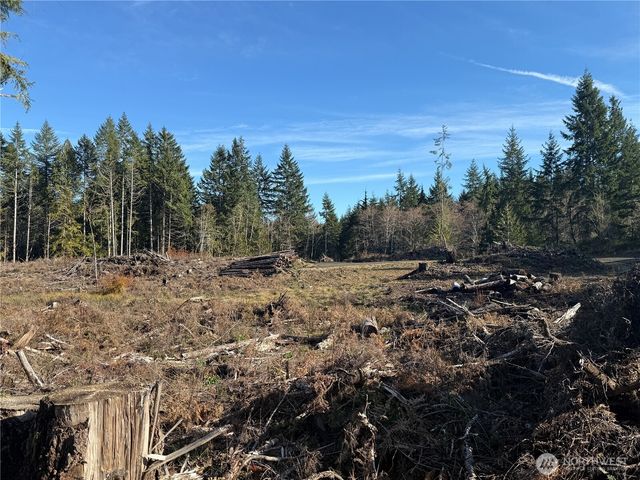 260 E Solbakk Veien Road, Shelton, WA 98584