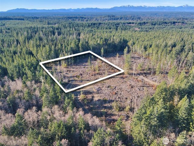 260 E Solbakk Veien Road, Shelton, WA 98584
