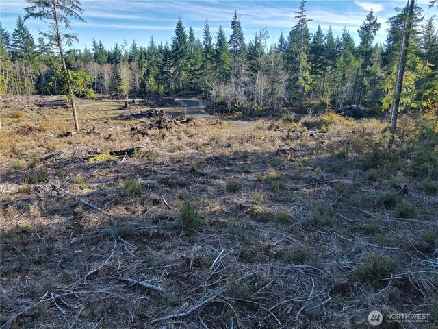 260 E Solbakk Veien Road, Shelton, WA 98584