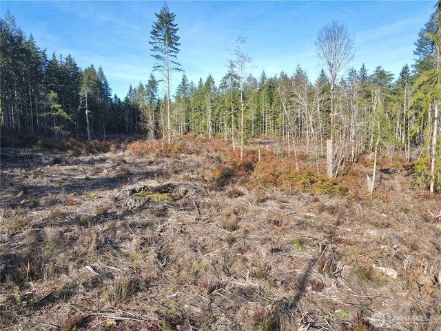 260 E Solbakk Veien Road, Shelton, WA 98584