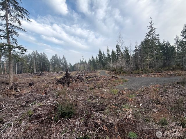 260 E Solbakk Veien Road, Shelton, WA 98584