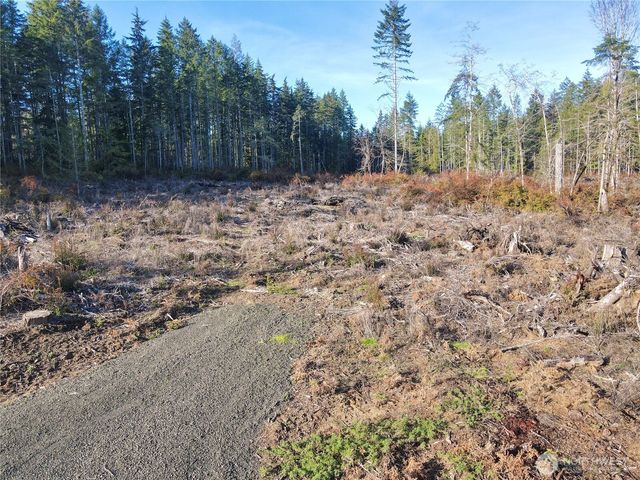 260 E Solbakk Veien Road, Shelton, WA 98584