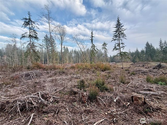 260 E Solbakk Veien Road, Shelton, WA 98584