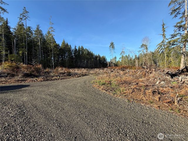 260 E Solbakk Veien Road, Shelton, WA 98584