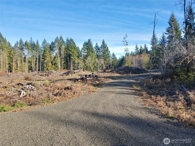 260 E Solbakk Veien Road, Shelton, WA 98584