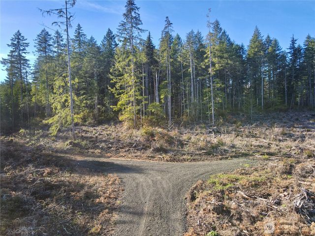 260 E Solbakk Veien Road, Shelton, WA 98584