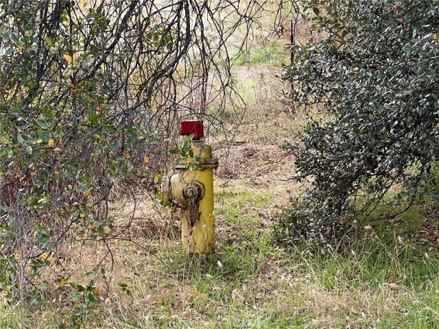 0 Hangtree, Oakhurst, CA 93644